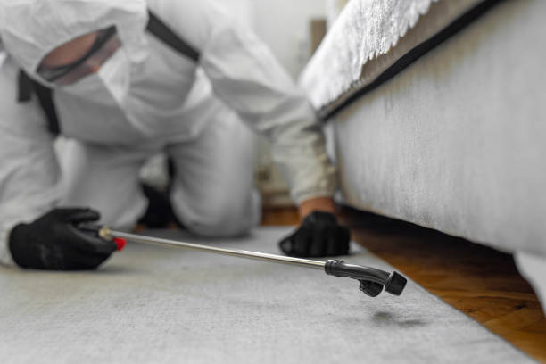 Professional Bed Bug Control technician working in Spout Springs, NC