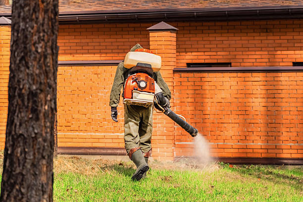 Trusted Fumigation Services service in Spout Springs, NC - Nex Pest Control